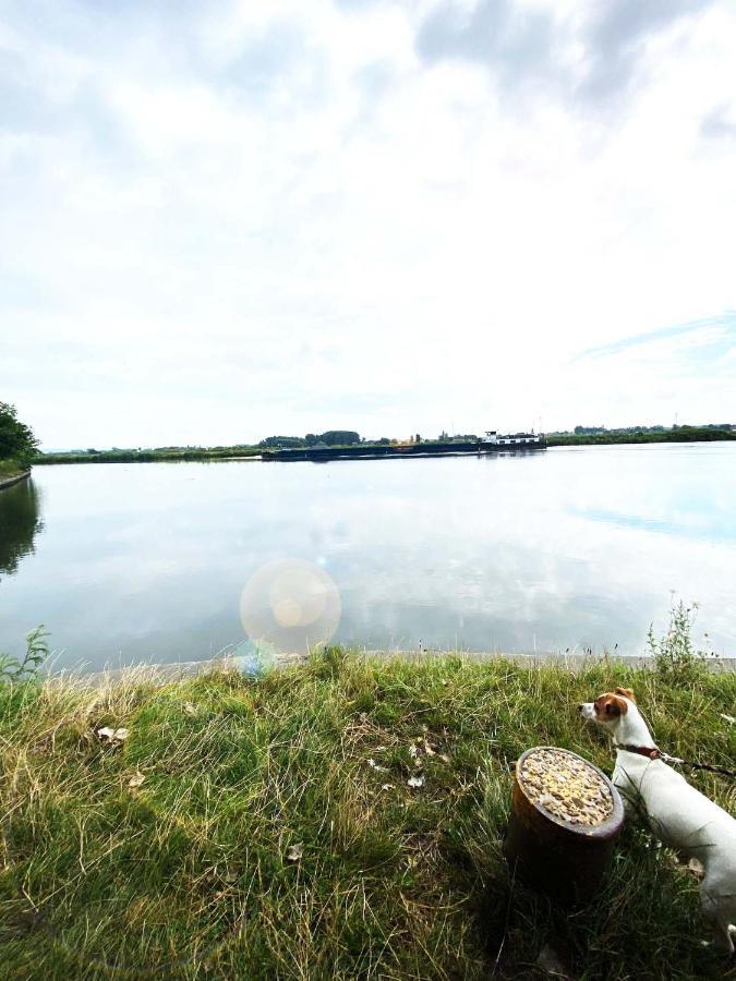 Huisje Aan De Schelde Spiere ภายนอก รูปภาพ
