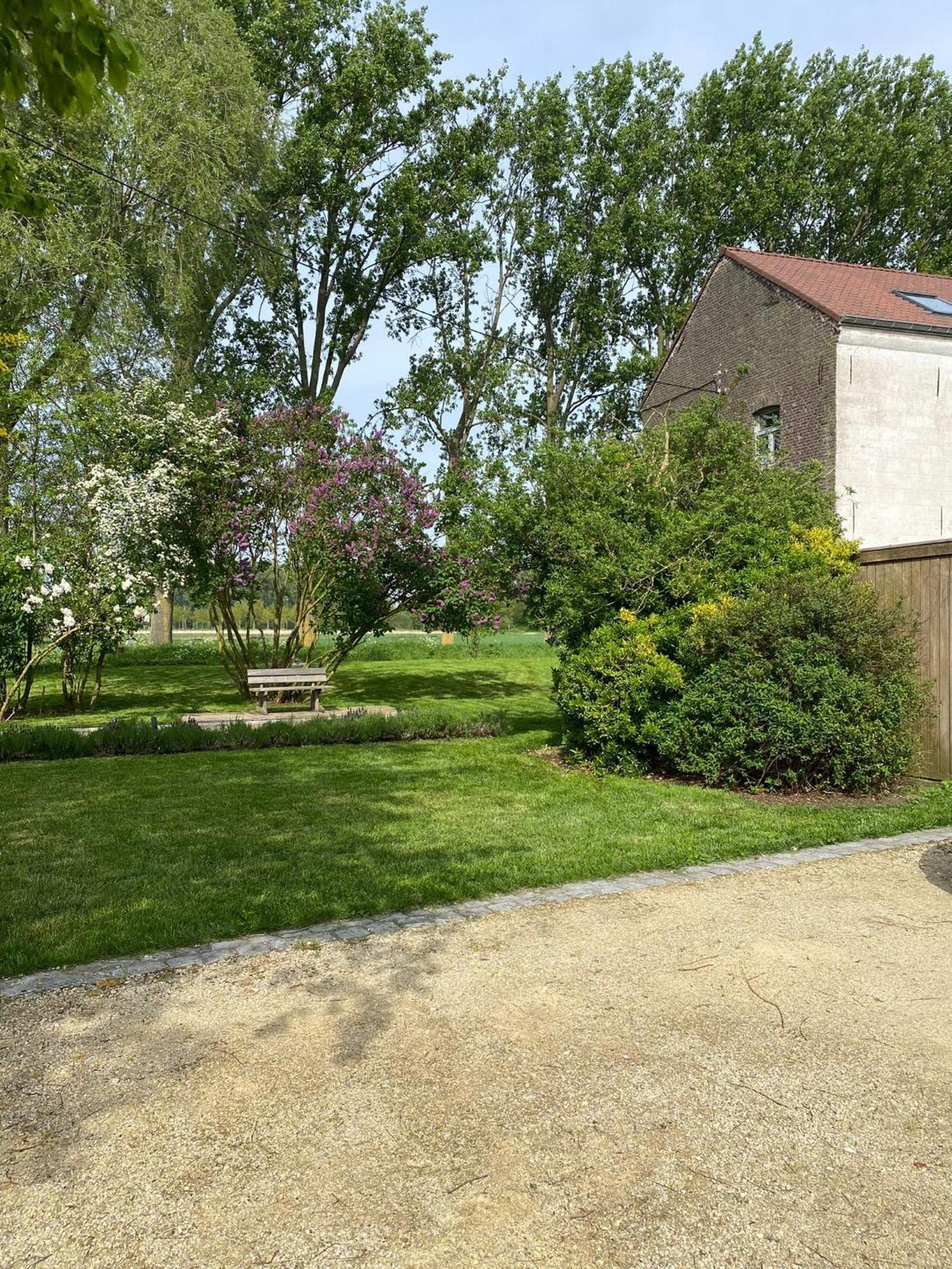 Huisje Aan De Schelde Spiere ภายนอก รูปภาพ
