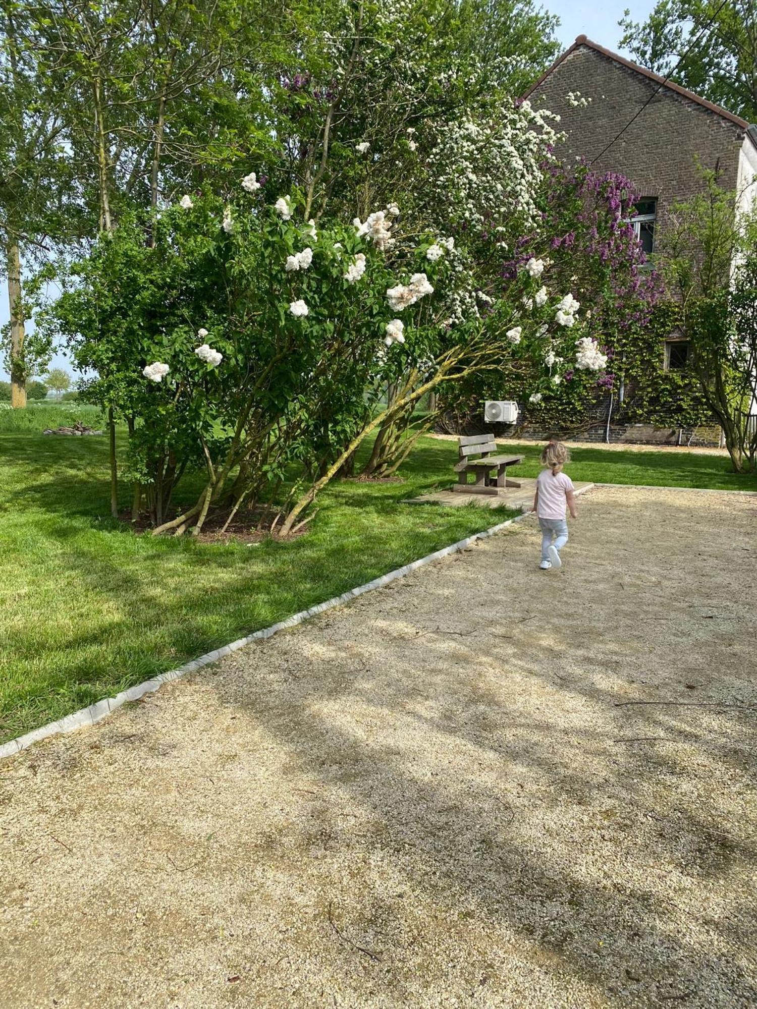 Huisje Aan De Schelde Spiere ภายนอก รูปภาพ