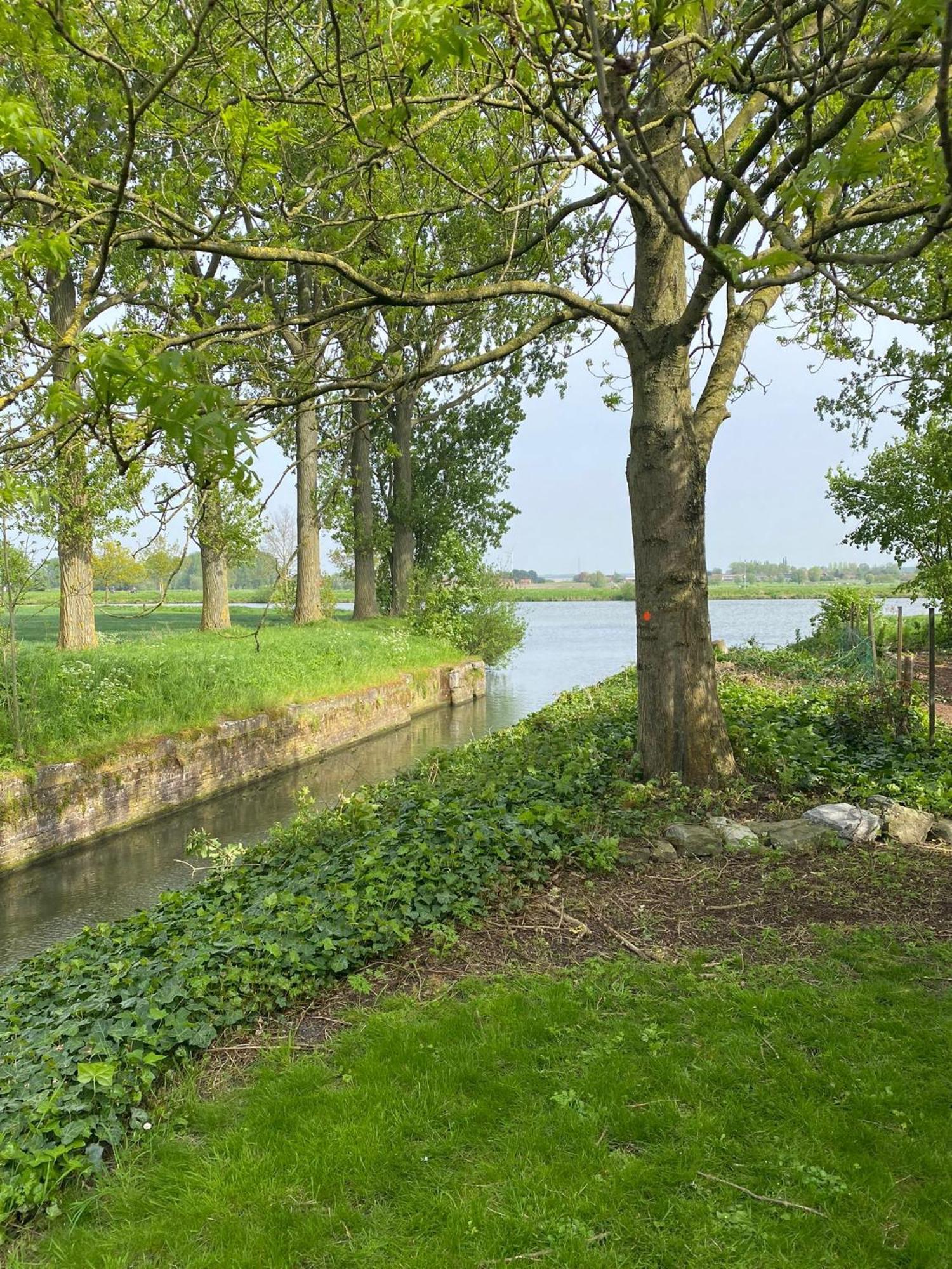 Huisje Aan De Schelde Spiere ภายนอก รูปภาพ