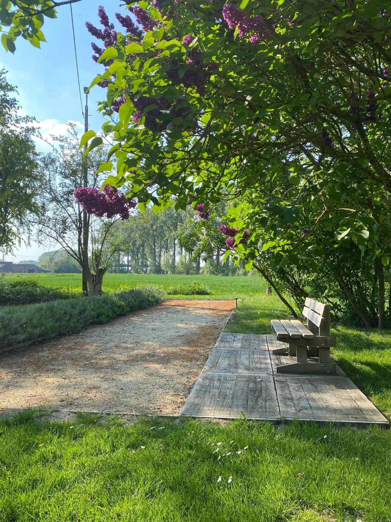Huisje Aan De Schelde Spiere ภายนอก รูปภาพ